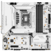 MAXSUN Terminator Z790M D5 ICE m-ATX DDR5 Motherboard