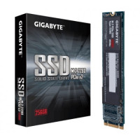 GIGABYTE 256GB M.2 PCIe SSD